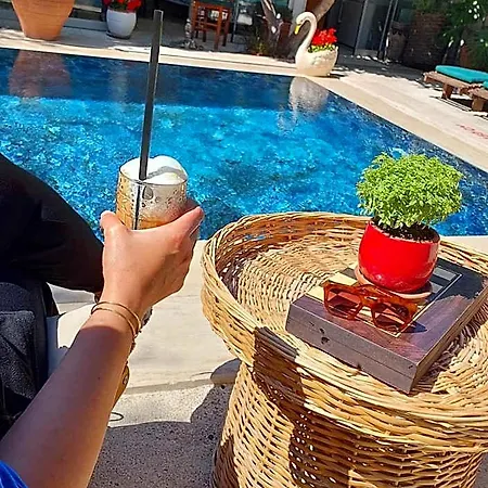 Hotel Bademici